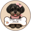 Stay With Jolie